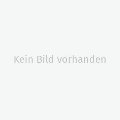 Von einem, der (sich) auszog, um in Armut zu leben - Kinder lernen den Heiligen